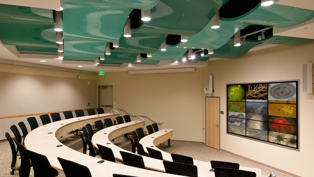 Center for Microbial Oceanography: Research & Education - View 6