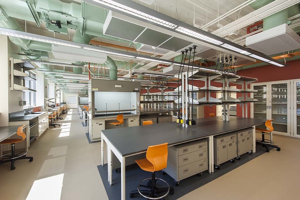 Edmondson Hall Life Sciences Renovation - View 5